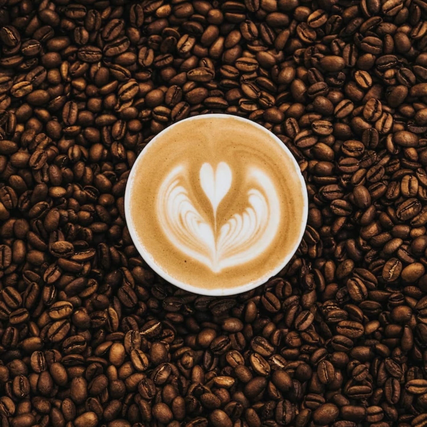 Solamente Cafe Cowboy Blend - Medium And Dark Roast (12 OUNCES)