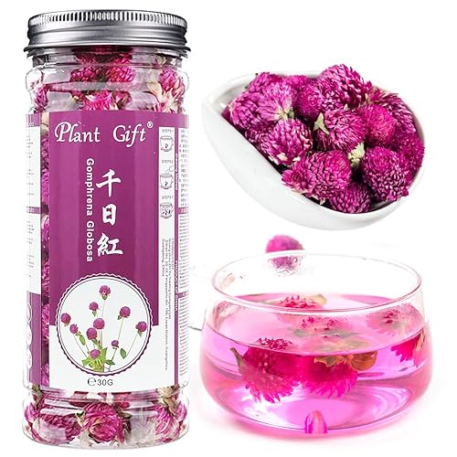 Plant Gift Dried Gomphrena globosa Flower, Natural Globe Amaranth Flower Blooming Flower Tea Natural Royal Scented Tea Gomphrena Rose Tea, Globe