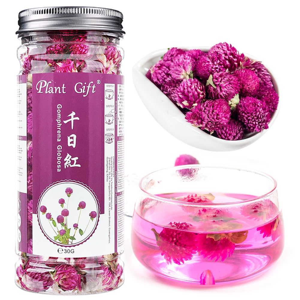 Plant Gift Dried Gomphrena globosa Flower, Natural Globe Amaranth Flower Blooming Flower Tea Natural Royal Scented Tea Gomphrena Rose Tea, Globe