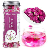 Plant Gift Dried Gomphrena globosa Flower, Natural Globe Amaranth Flower Blooming Flower Tea Natural Royal Scented Tea Gomphrena Rose Tea, Globe