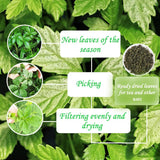 Gynostemma Pentaphyllum Jiaogulan Loose Leaf Emerald Green Tea 500g (17.61oz) - Dried Gynostemma Tea Leaves for Hot Iced Invigorating Beverages