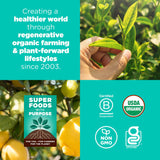 Navitas Organics Lemon Matcha Cashew Superfood+ BITES - Power Snacks - All Natural Plant Based - Clean Energy & Nutrition - USDA Organic, Non GMO