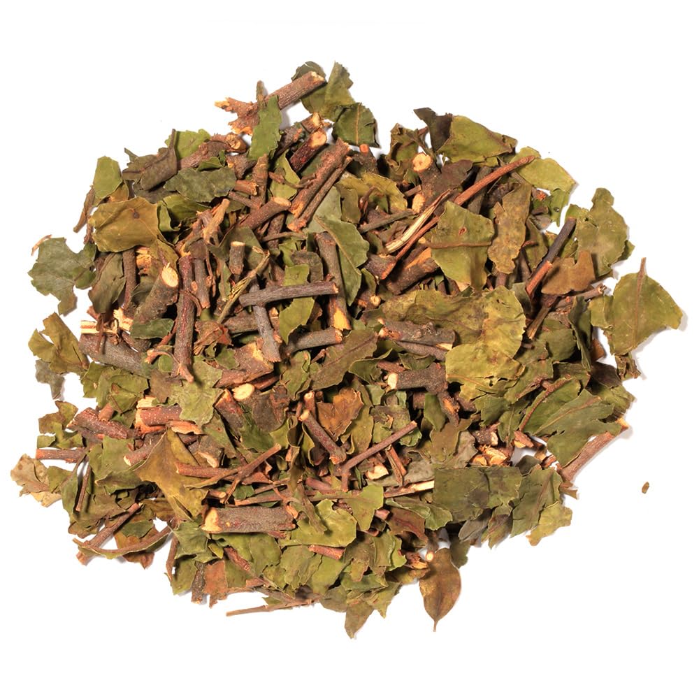 EidolonGreen [China Medicinal Herb] Dried Chinese Mistletoe (Taxillus chinensis/Sang ji sheng/???) Stems and Leaves 3 Oz (88g)