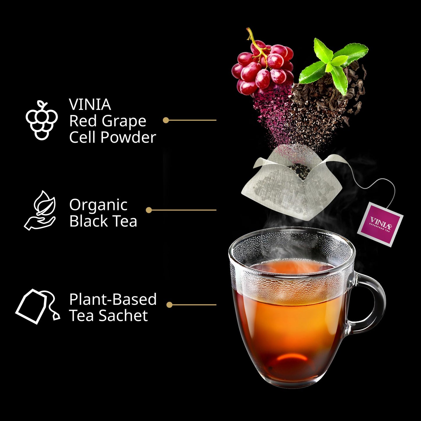 VINIA English Breakfast Black Tea Bags, Made with Organic Tea, Infused with Piceid Resveratrol for Heart Health, Nitric Oxide, Physical Energy
