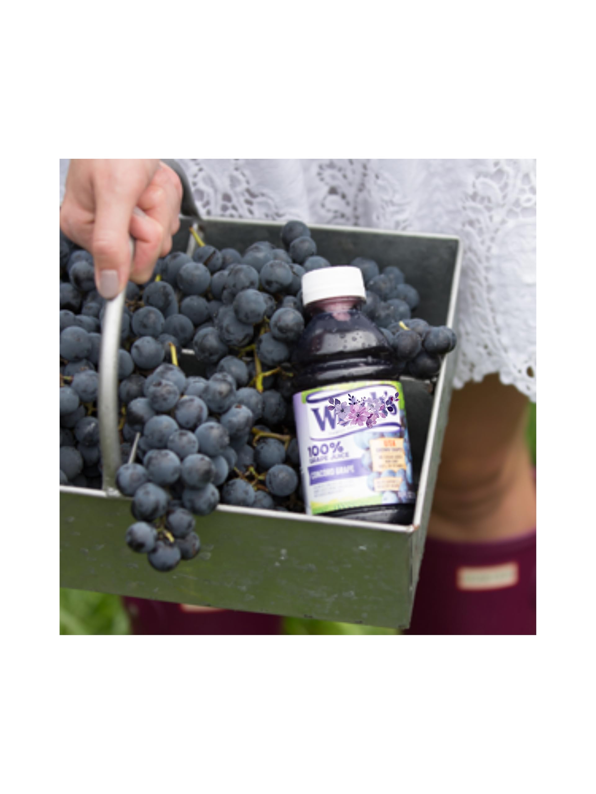 LiteZout 100% Concord Grape Juice, 10oz, (24 pack), by