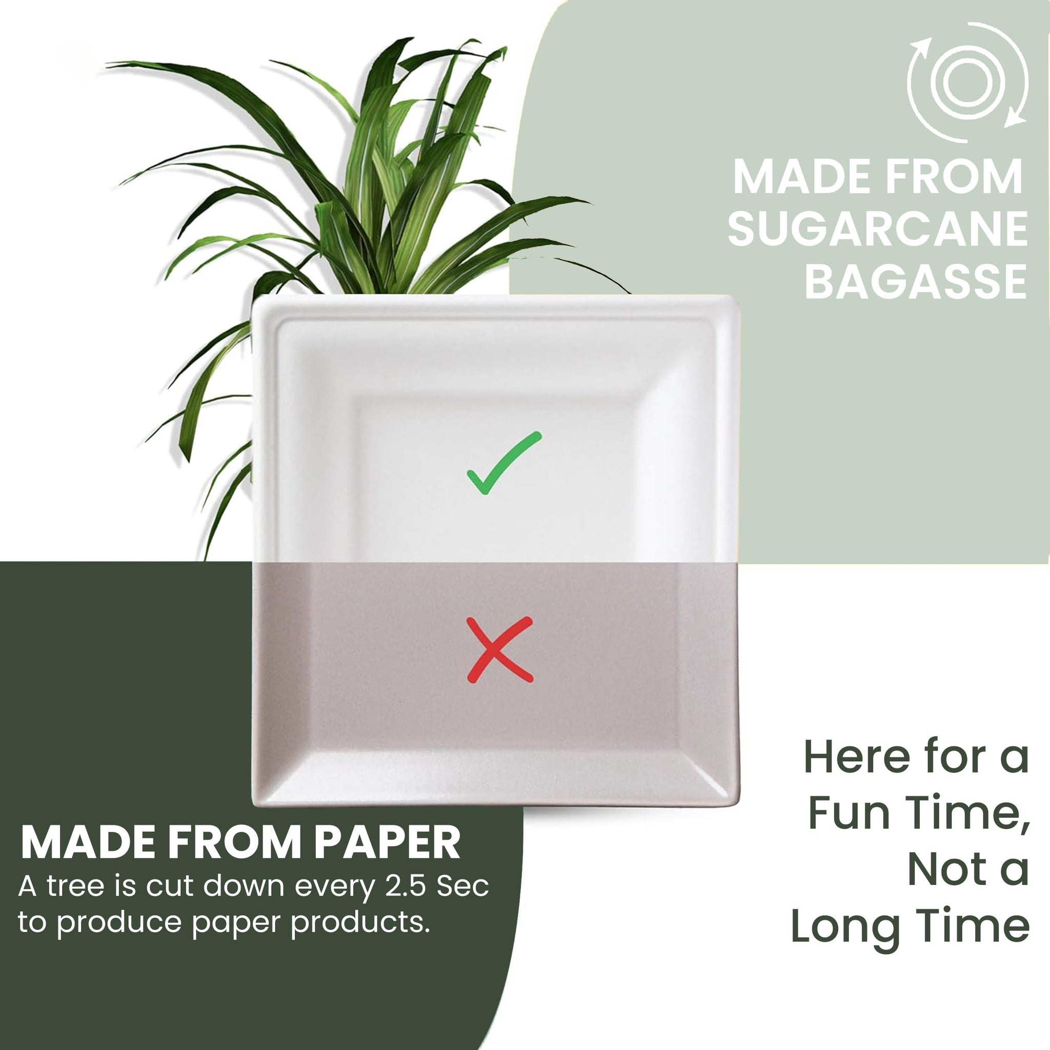 FPN Compostable Square Plates 6 Inch 125 Pack Heavy Duty Disposable Plates | Sugarcane Biodegradable Eco Friendly Dinnerware for Hot & Cold Food