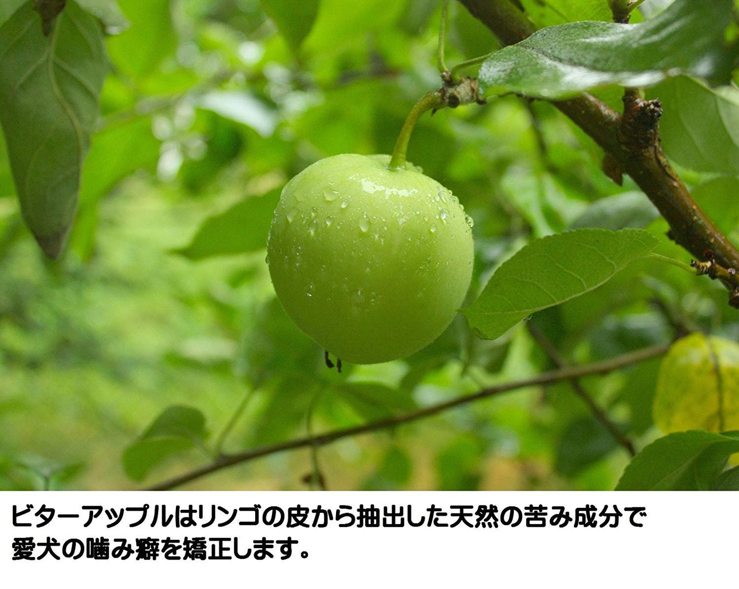 Grannick's Bitter Apple