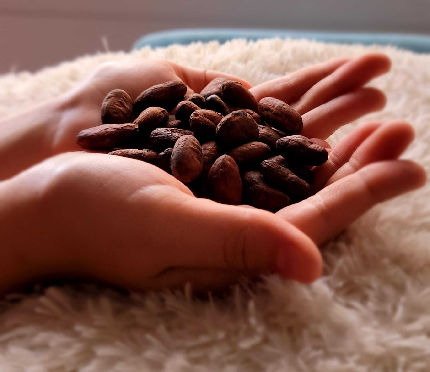 Roasted Cacao - 100% Natural, Single-Origin Colombian Cacao | Rich Chocolate Aroma | Ideal for Snacking, Baking & Hot Drinks (16 oz)