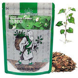 Hapsmiley Houttuynia Cordata Tea (Dokudami/Yuxingcao/???/???) 100% Newly Harvested Dried Loose Leaves 2 Oz (60 g)