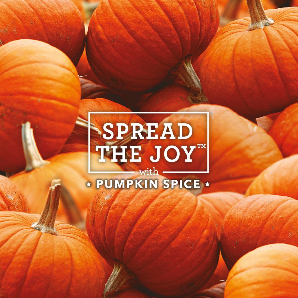 Air Wick Scented Oil Refills - Limited Edition - Pumpkin Spice - 2 Count Oil Refills Per Package - Pack of 2 Packages