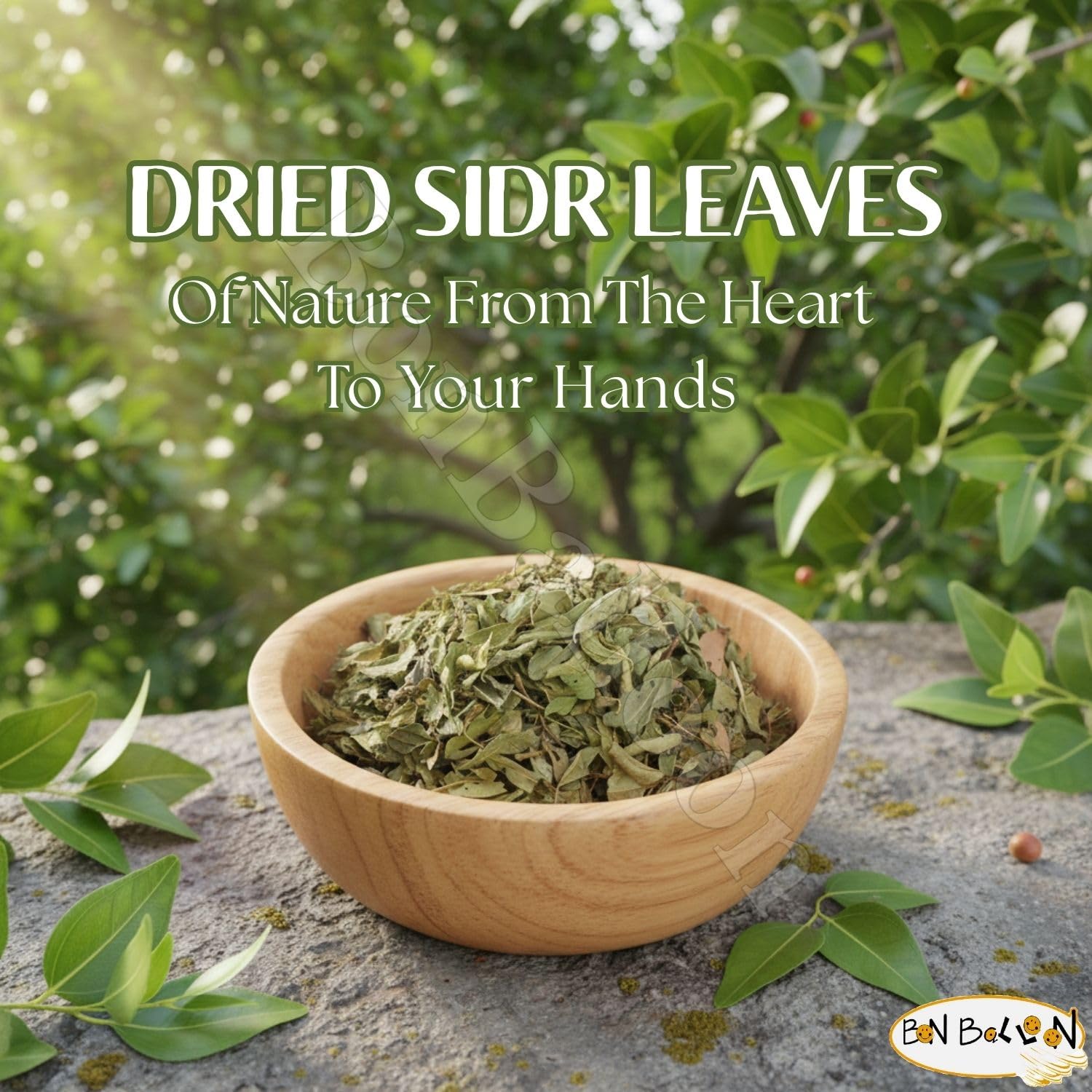 Wholesale Seder Sidr Dried Broken Leaves Leaf Egyptian Egypt Herbal Herbals Herb Herbs Arab Arabic Arabian No Additives Non Gmo Kosher Halal Skin Hair