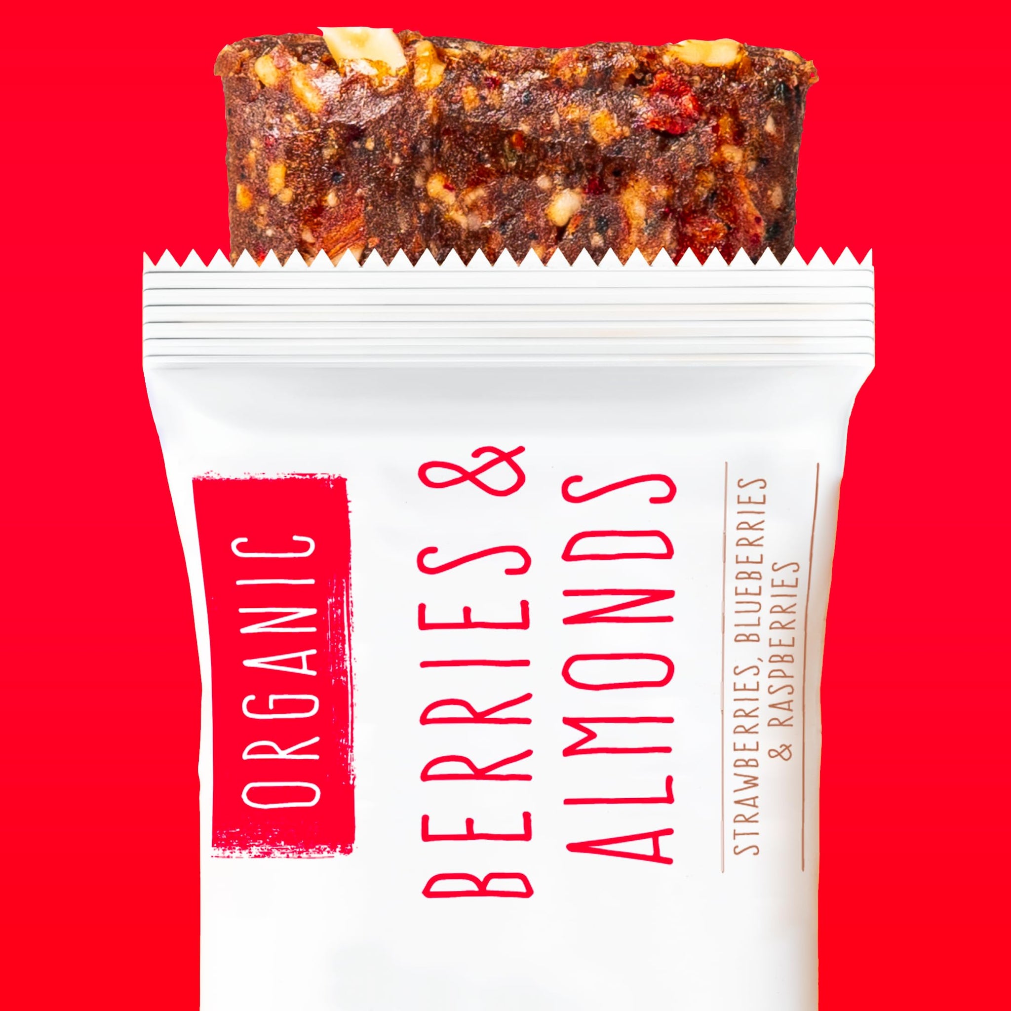 JONESBAR Organic Plant Based Protein Bars | Berries and Almonds | Fruit & Nut Bar, Kosher, Gluten Free, Breakfast Bars, School Snacks, Vegan Snack