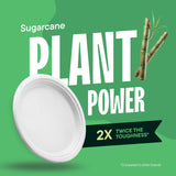100% Compostable Disposable Paper Plates [125-Pack] - (PFAS-Free) - [10 Inch] Heavy Duty, Eco-Friendly, Biodegradable Bagasse Dinner Plates - Natural