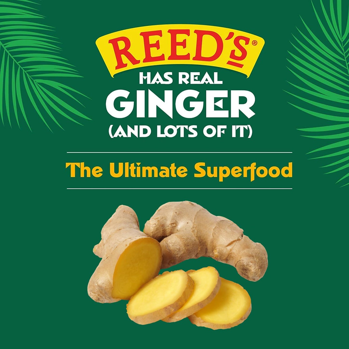 Reeds Ginger Brew Ginger Chews, 2 OZ
