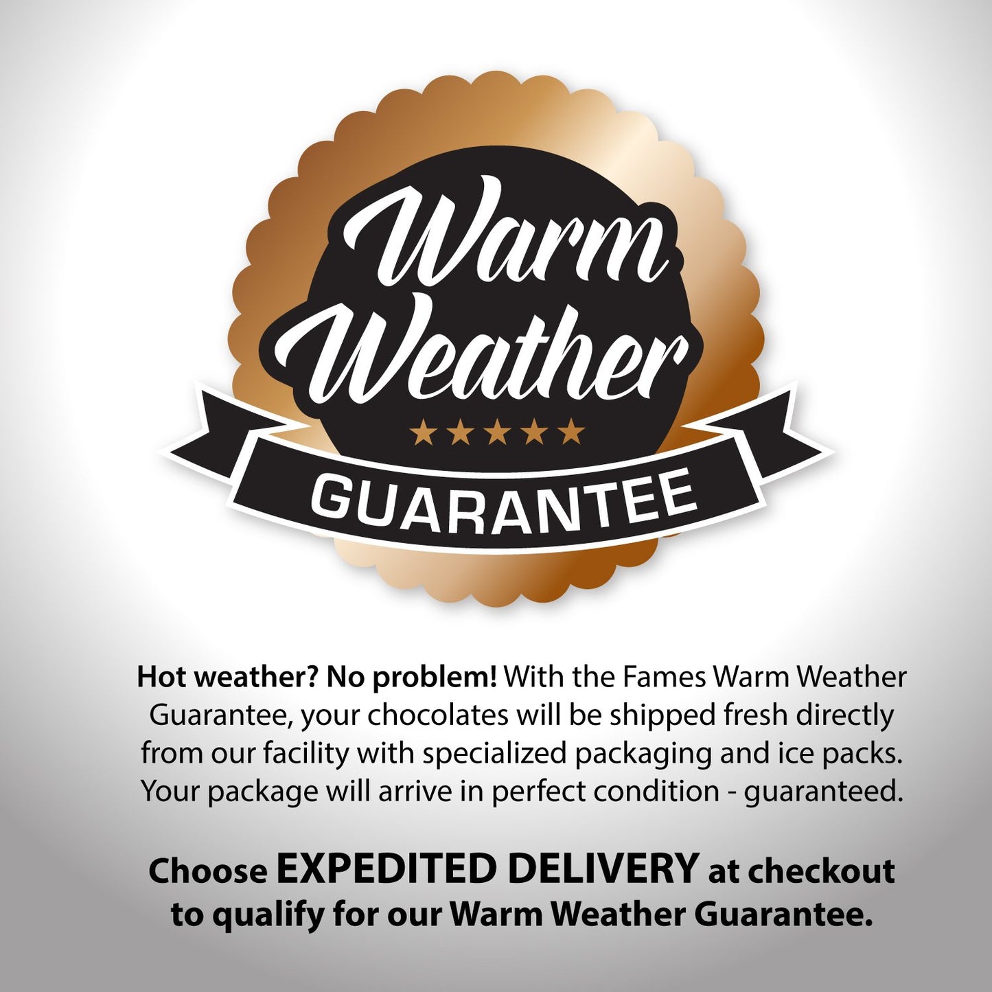 Fames Chocolates Premium Kosher Chocolate Covered Gourmet Gift Box - Dark Chocolate Nut Truffles Gift Box - Great Surprise Bring Home Food