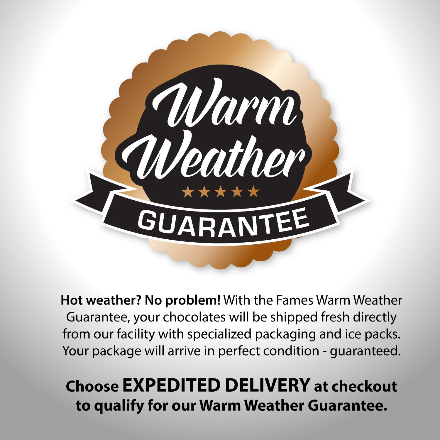 Fames Chocolates Premium Kosher Chocolate Covered Gourmet Gift Box - Dark Chocolate Nut Truffles Gift Box - Great Surprise Bring Home Food