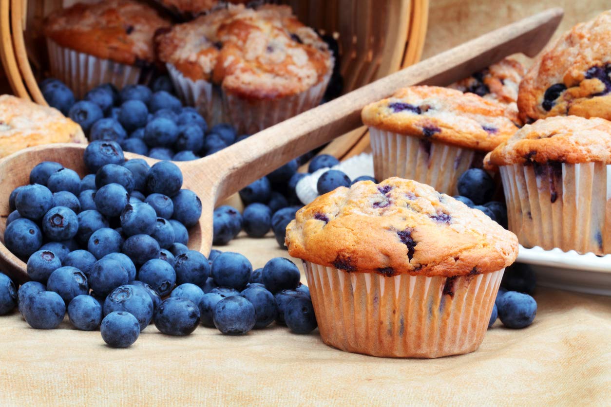Gluten Free Blueberry Muffins 24-ct. (case of 24 Blueberry Muffins 2.5 oz.)