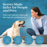 Enviroscent Non-Toxic Air Freshener Paper Refills - Compatible with Enviroscent Plug Hub® Warmer Kit - Home Fragrance Lasts Up to 90 Days - Spring