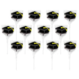 Graduation Hat Lollipops - Grad Party Suckers - Graduation Party Favors - 12 Individually Wrapped Graduation Candy Pops - Graduation Decorations