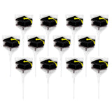 Graduation Hat Lollipops - Grad Party Suckers - Graduation Party Favors - 12 Individually Wrapped Graduation Candy Pops - Graduation Decorations