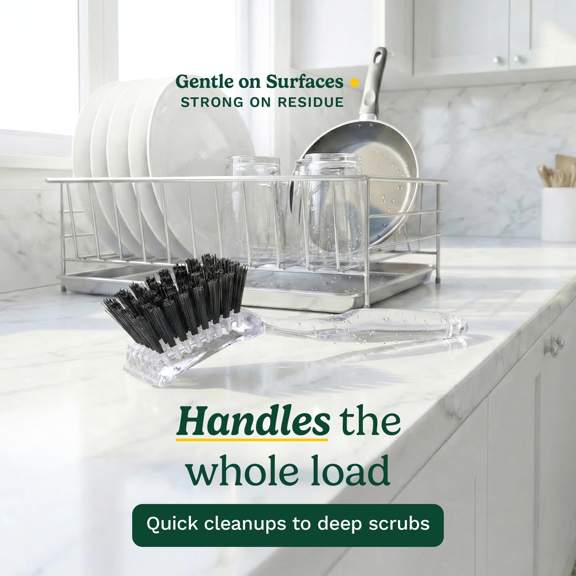 Cuisinart Dish Brush with Handle 2 Pack - Kitchen Scrub Brush for Dishes, Pots & Pans, Non-Scratch Dish Scrubber, Firm Bristles for Sink & Cookware