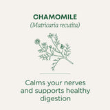 Traditional Medicinals Organic, Chamomile Tea - Supports Stress Relief and Relaxation - Kosher, Non-GMO, Caffeine-Free, Compostable - 16 Tea Bags