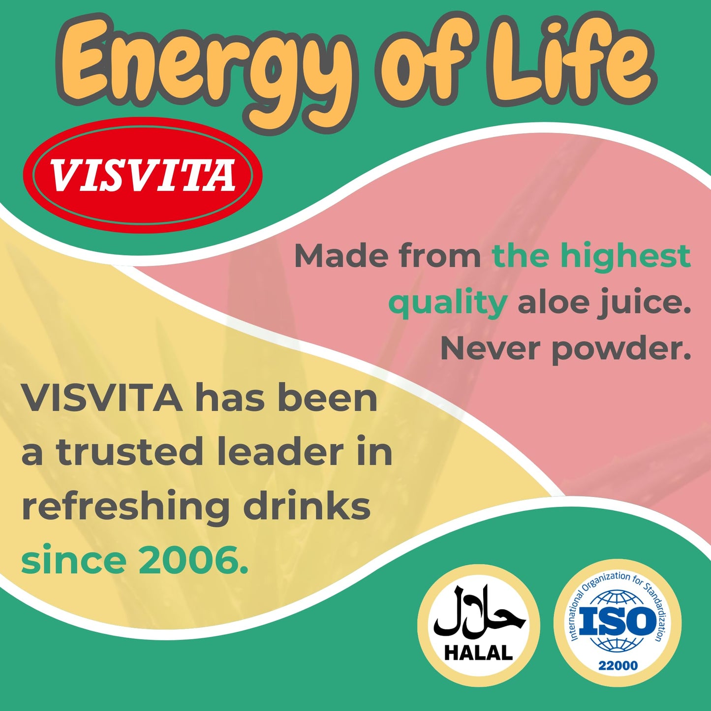 VISVITA Aloe Vera Juice with Real Pulp, Variety Pack | Digestive Health, Hydration & Energy Boost | No Artificial Colors, 16.9 oz, Original (5), Mango