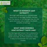 Green Virgin Moringa Ultimate Liquid Leaf Extract - 2 Fl Oz (Pack of 1)