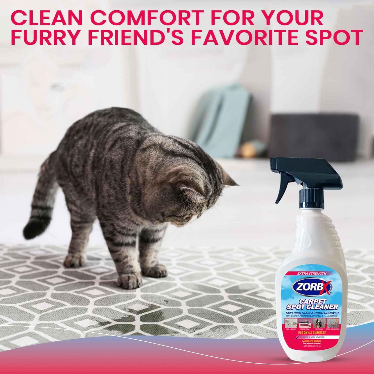 ZORBX Carpet Odor and Stain Remover Spray 24 oz - Perfect Addition to Cleaning Supplies - All-Purpose Carpet Spot Cleaner - Citrus Scented Pet Stain