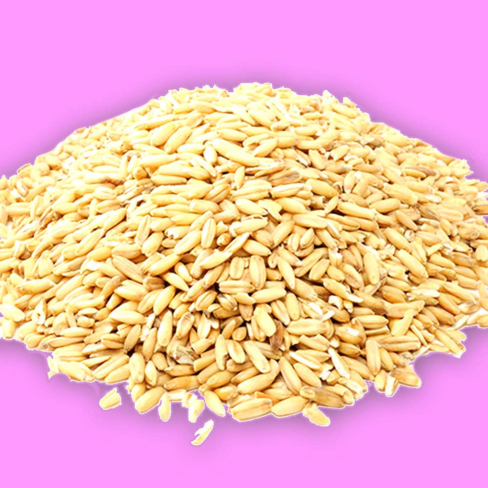 Typical Nicaraguan Beverages (Barley | Cebada) (3 Pack)