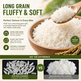 Ph??c L?c Th? ST25 Vietnamese Jasmine Rice 10lb - Premium Long Grain White Rice, Fragrant & Soft Texture, Non-GMO, Authentic Asian Rice, Bulk Family Size