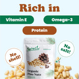 Food to Live Organic Pine Nuts, 18 Pounds - Non-GMO, Whole Raw Pignolias, Unsalted, No Shell, Vegan, Kosher, Bulk Snack. Rich in Vitamin E, Protein
