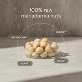 Blueprint Bryan Johnson Raw Macadamia Nuts - No Palm Oil - Keto and Low Carb Snack - No Added Sugar, Vegan, Non GMO, Keto and Paleo Friendly (4