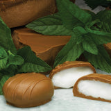 Philadelphia Candies Milk Chocolate Covered Peppermint Patties, 12.5 Ounce Gift Box