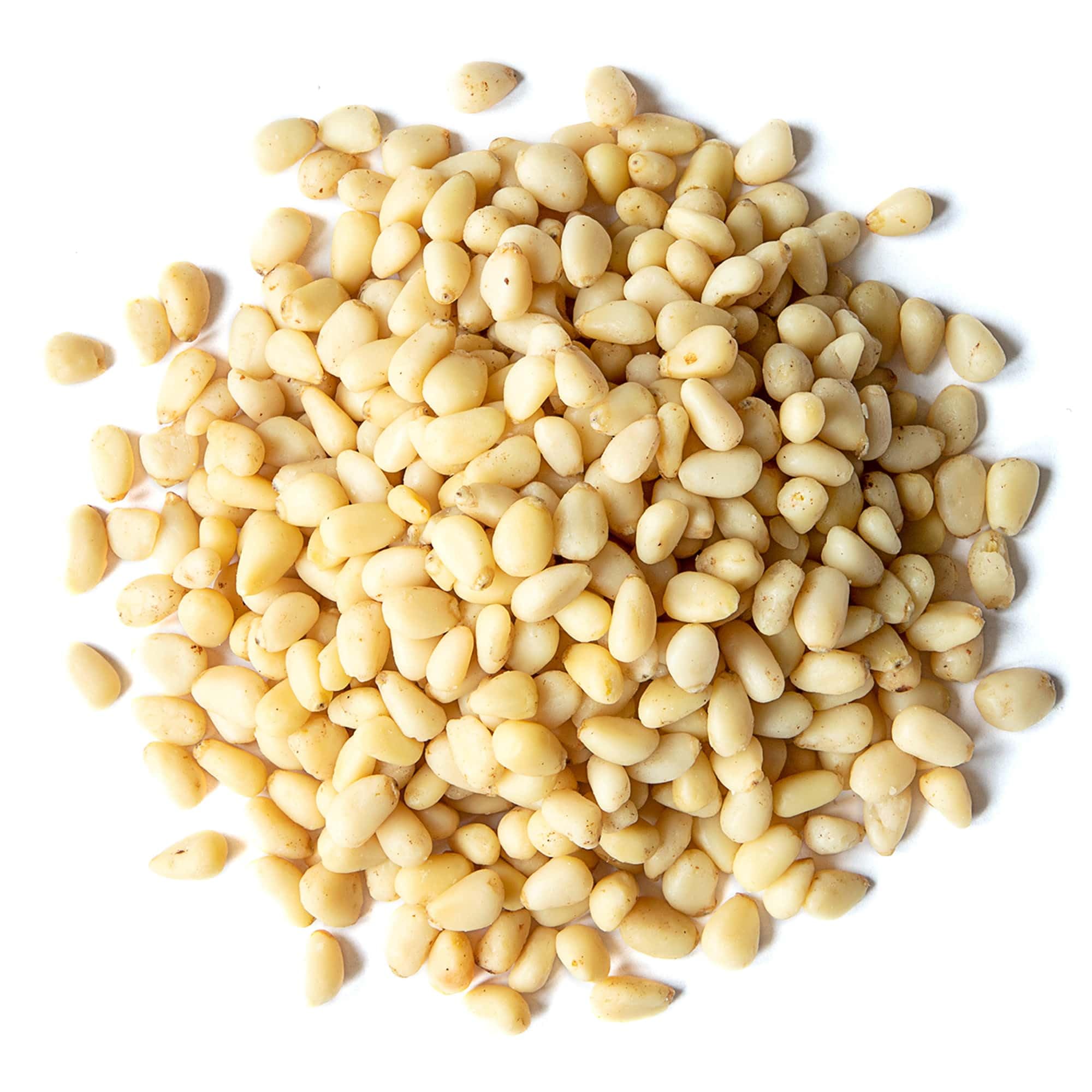 Food to Live - Pine Nuts, 6 Ounces - Whole Raw Pignolias, Unsalted, Kosher. Rich in Vitamin E, Protein. Great for Pesto, Salads, Homemade Desserts.
