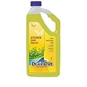 Drain OUT Kitchen Drain Opener and Drain Cleaner, Food and Grease Remover, Fresh Citrus - 32 Ounce