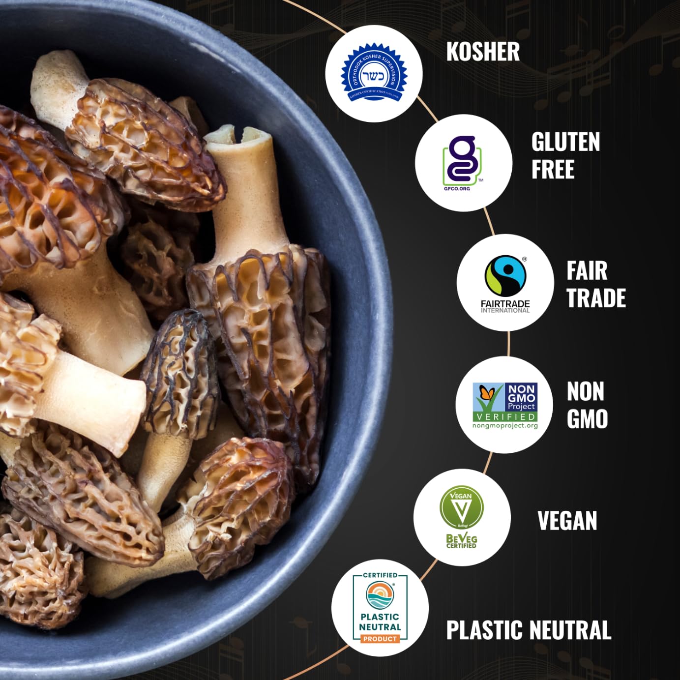 5Senses Himalayan Wild Morel Mushroom (Gucchi) | Hongo Morilla SILVESTRE DEL HIMALAYA | Morel Maestro | Premium Grade A Gucchi | Handpicked Dried