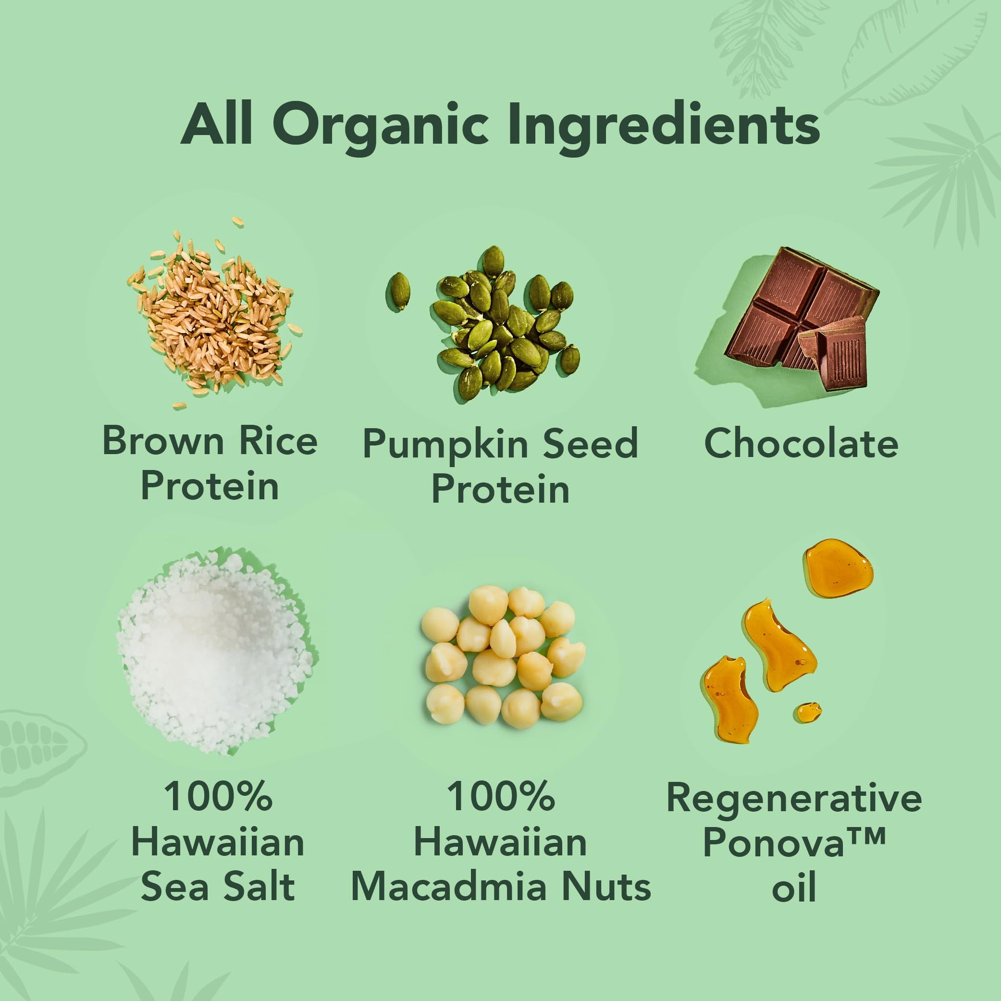 ALOHA Organic Plant Based Protein Bars | The Pa'akai Bar - Special Edition | 6 Count, 1.98oz Bars | Vegan, Low Sugar, Gluten Free, Paleo, Low Carb
