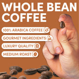 Sarasota Coffee Whole Bean Cinnamon Pecan Brownie | Medium Roast Gourmet Flavored Coffee Beans | Low Acid, Mold Free, Specialty Grade Bulk Coffee