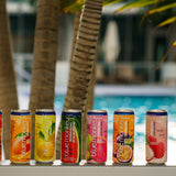 Blue Monkey Sparkling Mango Juice - Real Fruit Juice, No Sugar Added, All Natural, Lightly Carbonated, Halal Certified - Refreshing Tropical Sparkling