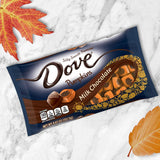 DOVE PROMISES Milk Chocolate Pumpkins Autumn Fall Treats Halloween Candy, 8.87oz