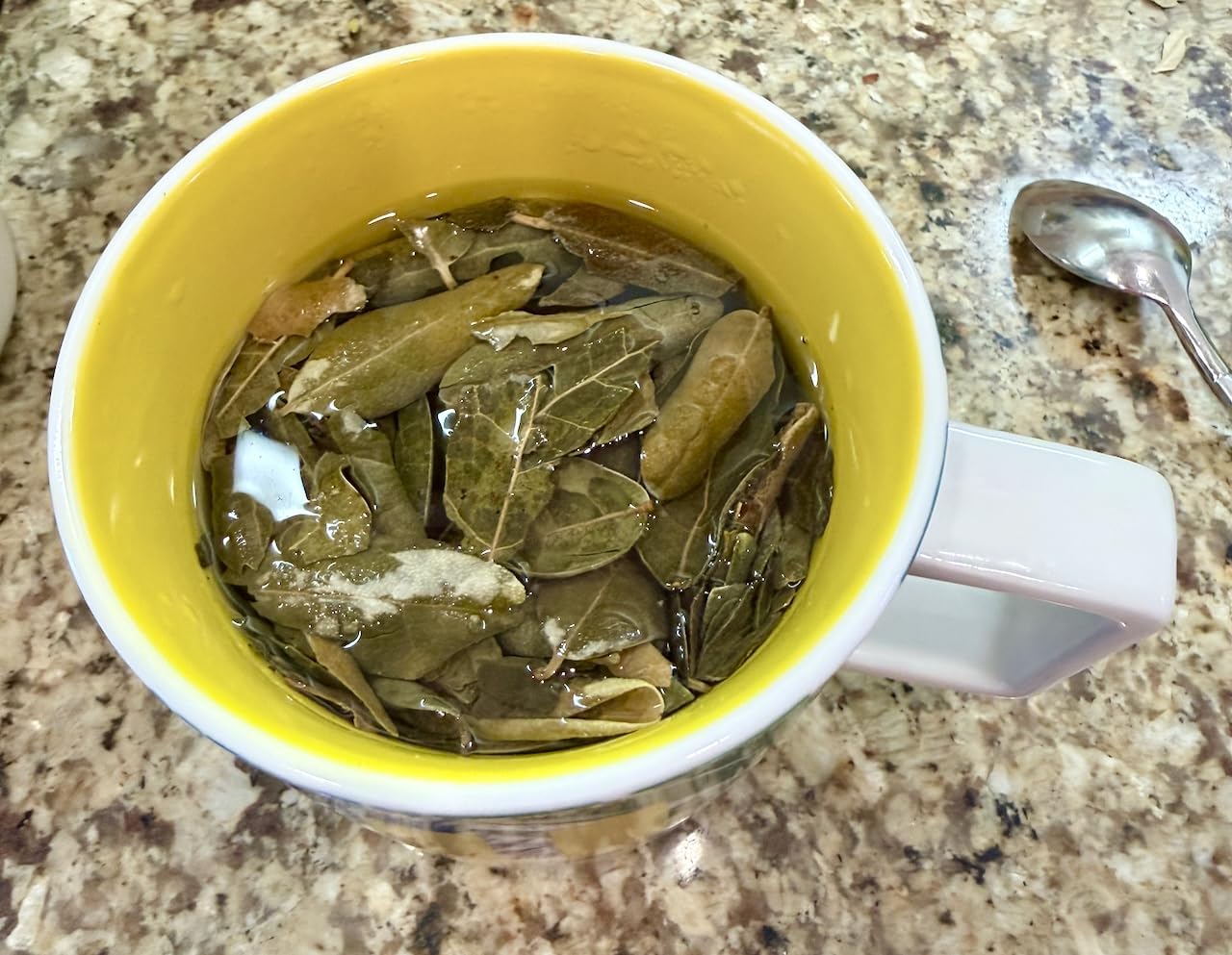 Boldo Leaves Herbal Tea - Hojas de Boldo (Peumus boldus) - Net Wt. 113 g (4 oz) - 100% Natural, Caffeine Free, Traditional Loose Leaf Boldus Herbal