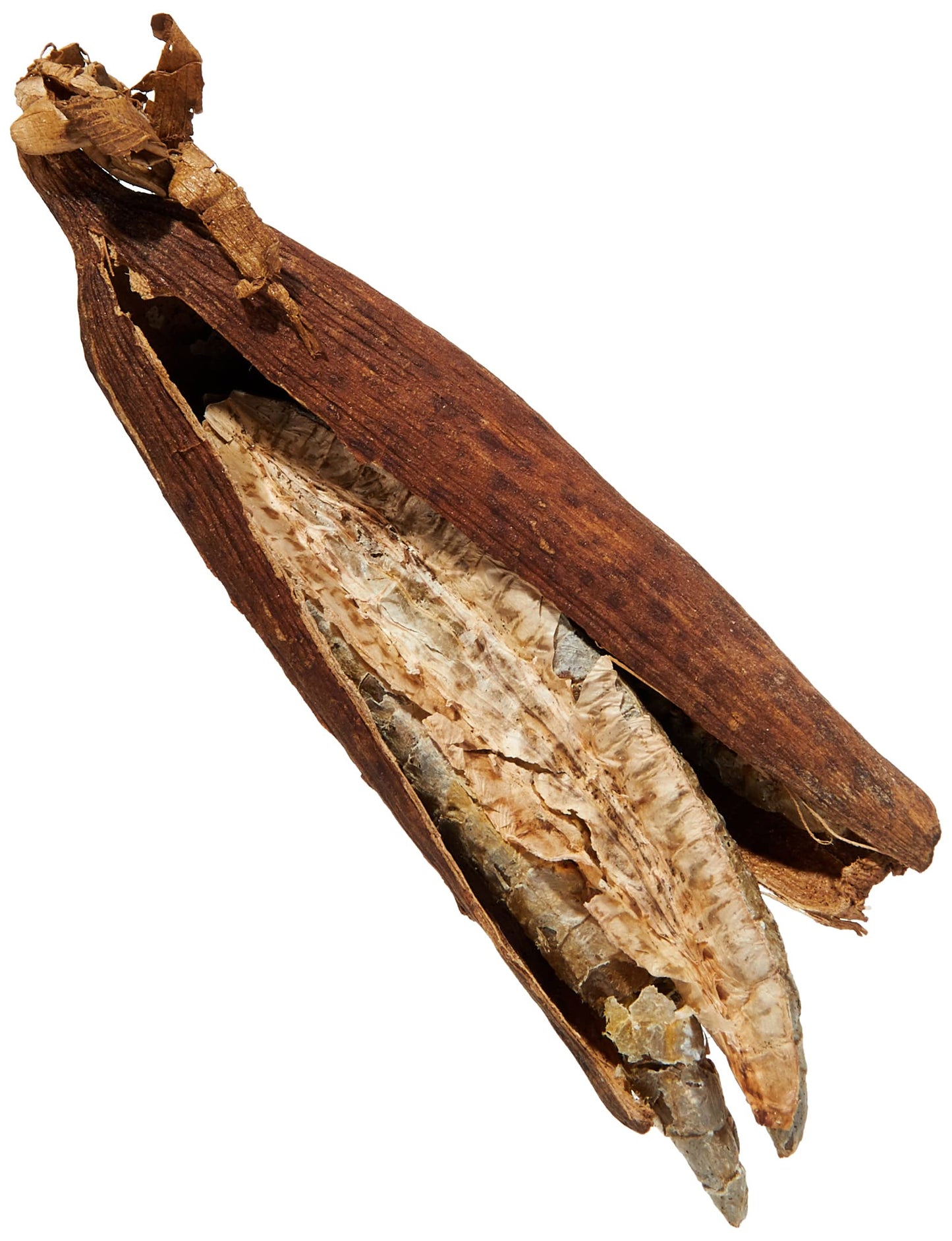 KOPABANA Grains of Peace | Seeds of peace | Graines de la paix | "ndidam" | jujube | African spices & seasonings | 3 pcs