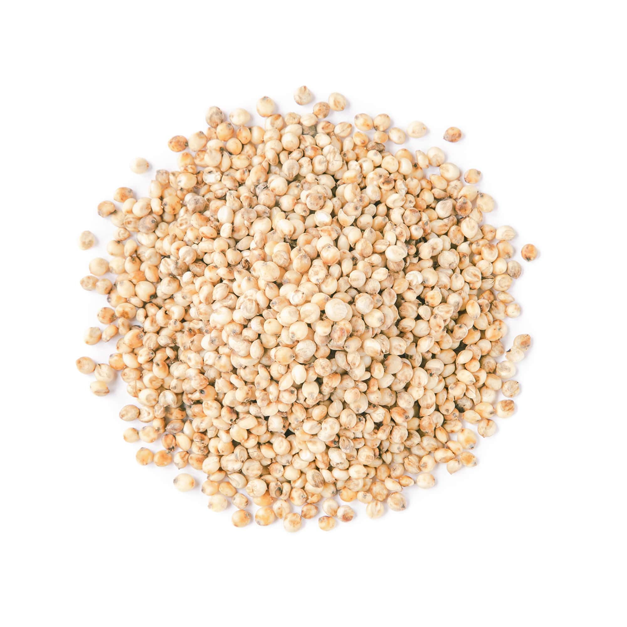Food to Live Italian White Whole Grain Sorghum, 1 Pound - Premium White Groats. Raw Milo Seeds. Vegan, Bulk Broom-corn. Durra is Great for Making