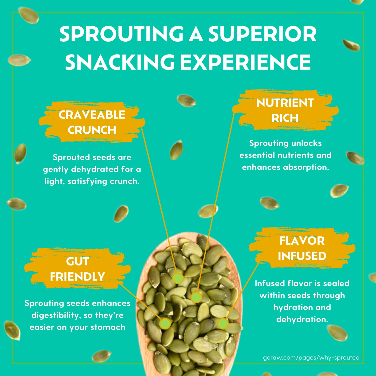 Go Raw Organic Sprouted Sweet & Salty Kettle Snacking Seeds, 4 oz, 6 Pack, Pumpkin & Sunflower Seeds, Keto, Kosher