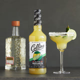 Collins Jalapeno Margarita Mix | Made With Real Jalapeno Puree and Lime, Lemon, and Orange Juice With Natural Flavors, Cocktail Recipe Ingredient
