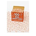 Candy Canes Individually Wrapped | Red and Whites Striped Peppermint Flavored Candy Canes | (100 Count - Mini Candy Canes)