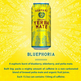 Guayaki Variety Pack - Revel Berry, Orange Exuberence, Bluephoria (Pack of 12) and Stinger Pink Lemonade Chews