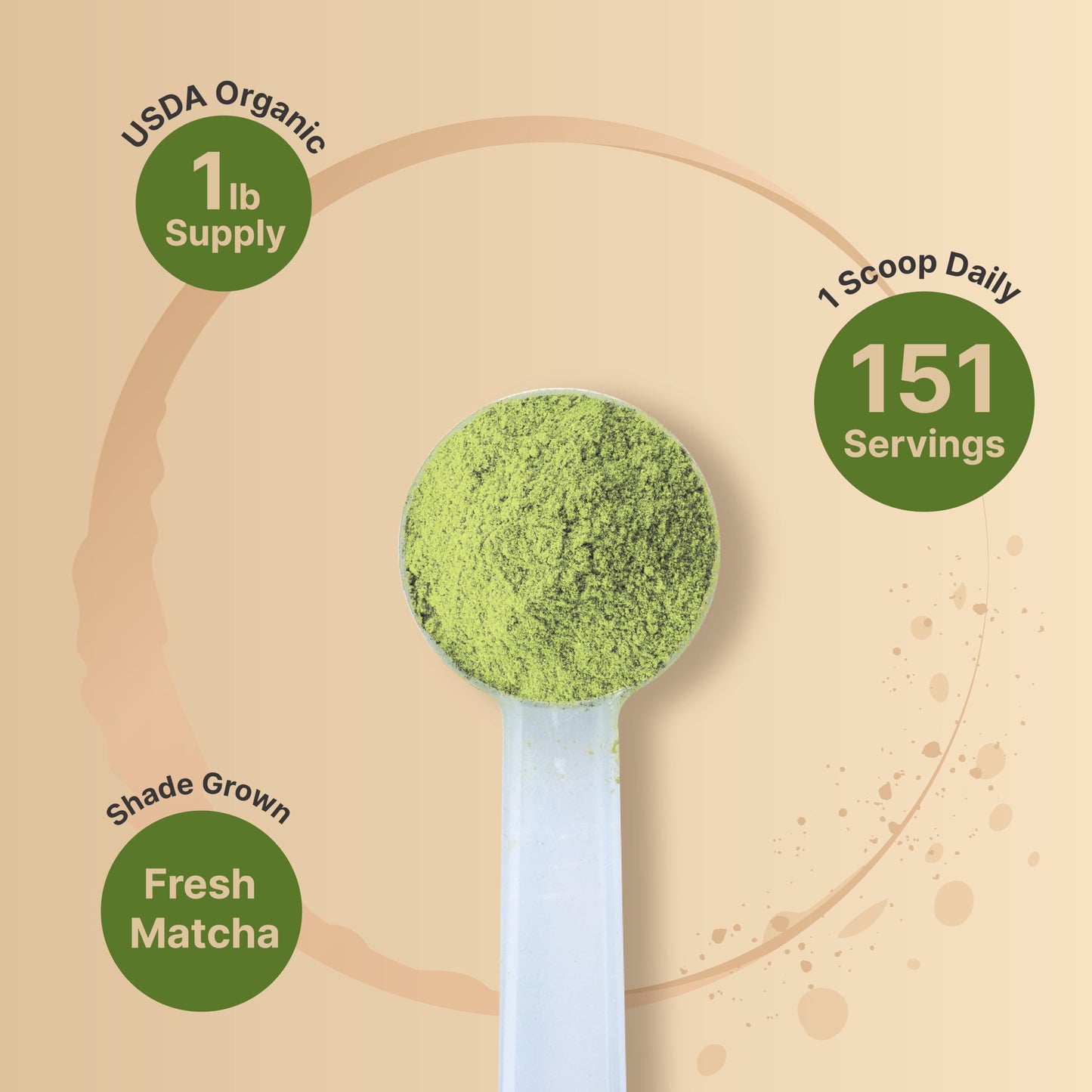Organic Matcha Green Tea Powder, 1 Pound | Unsweetened with Zero Sugar, Culinary Grade, Potent Early Spring Leaf Harvest, Fine Stone Ground - Vegan