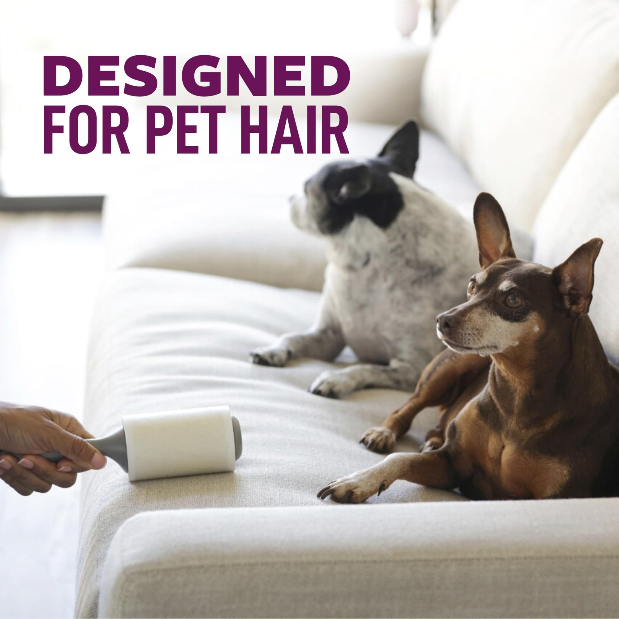 Scotch-Brite Pet Hair Pickup Extra Sticky Large Lint Roller, Designed for Removing Fur + Fluff on Couches, Clothes, Dog and Cat Beds, & More, 1 Pack